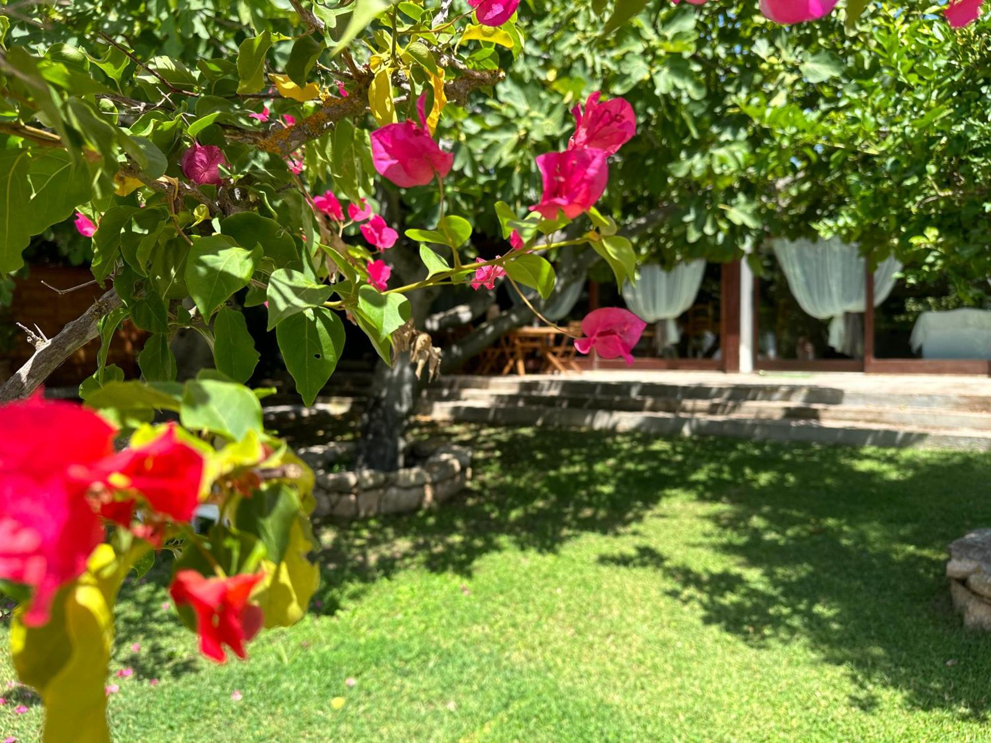 Villa Niloan Olbia Exterior photo